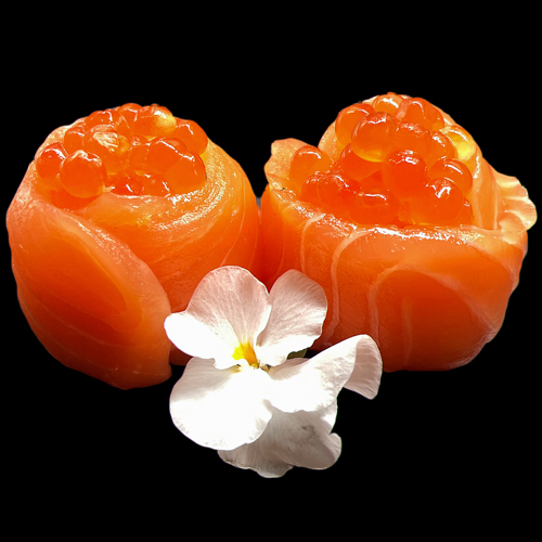 Tulipe saumon
